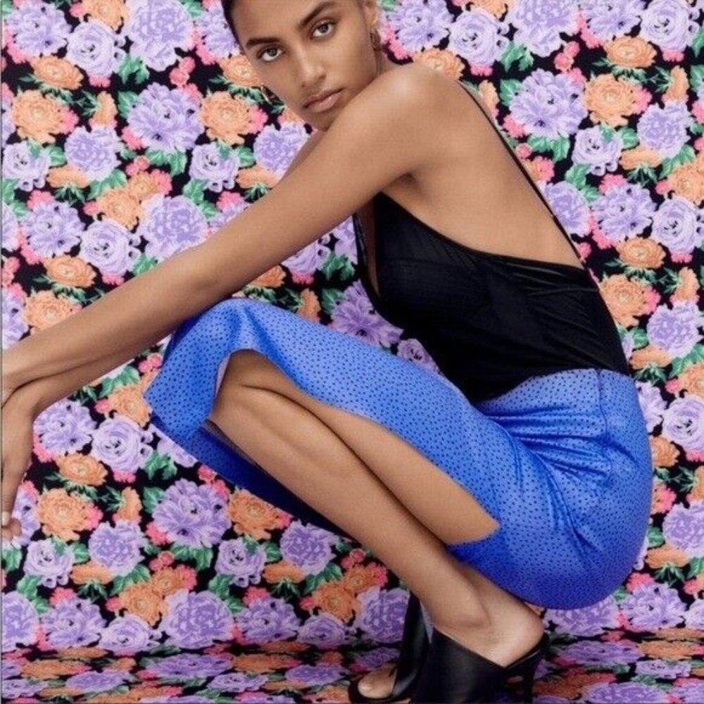 NWT Zara dotted maxi skirt size S